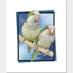 parrots Posters and Art